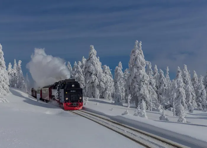 Buche Mit Balkon #netflix #innenstadtnaehe Von Harztraveler Appartement